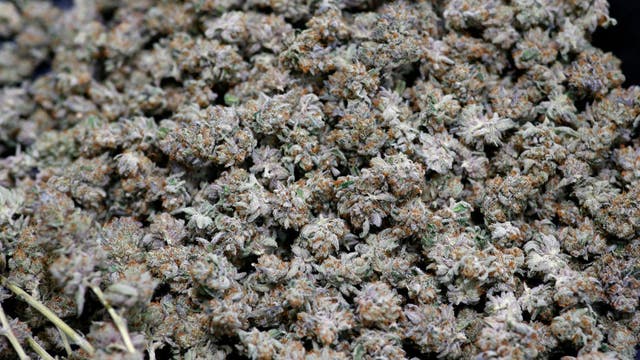 Weed company seeking paid intern to test products, write reviews