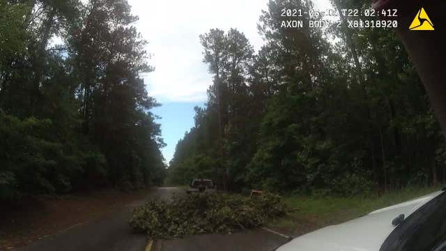 Police: Man dumping yard debris on road knocks down stop sign