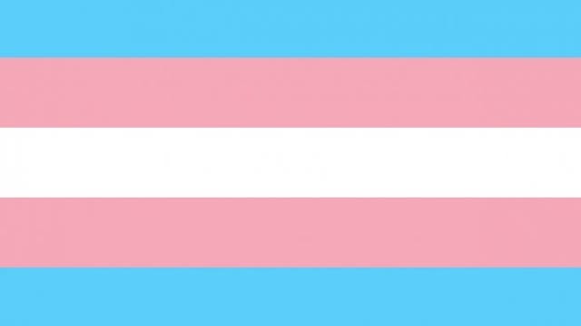 Ban on transgender sports passes despite appeal from senator