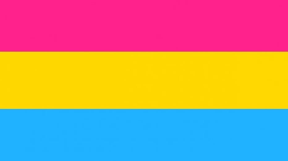 pansexual-flag.jpeg