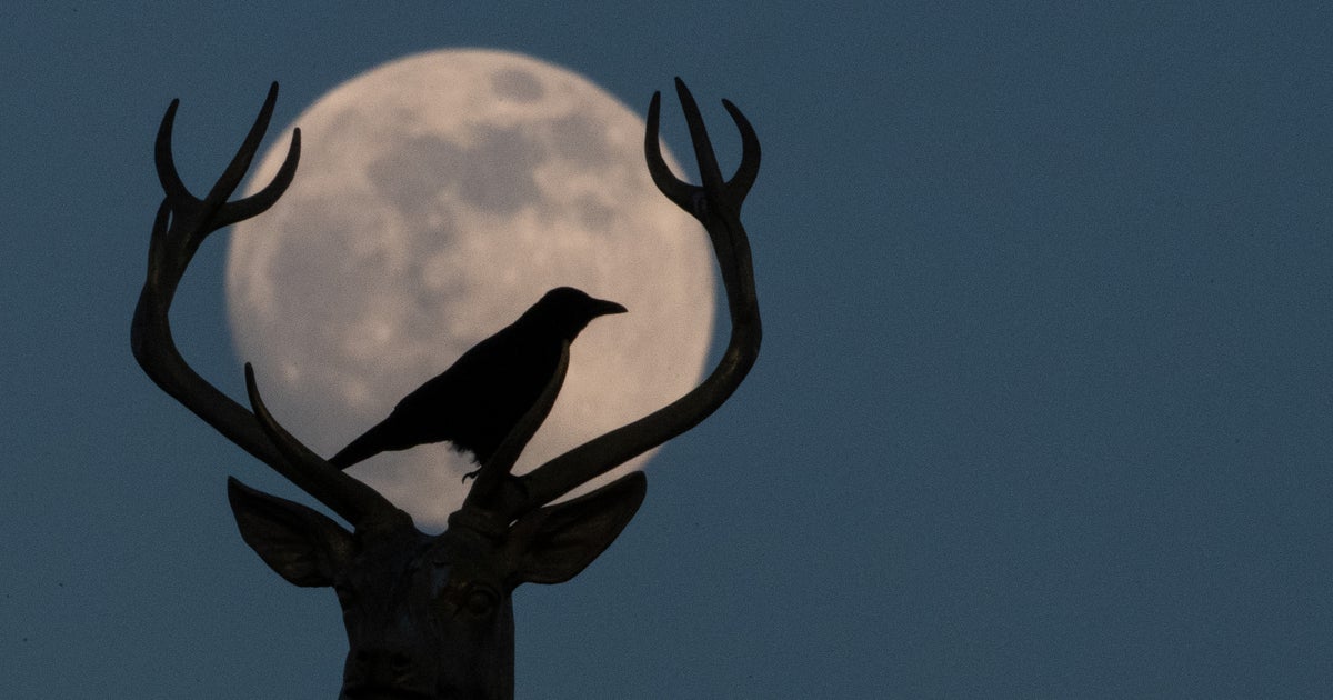 Buck moon: When to see July 2021’s full moon and why it may look red ...