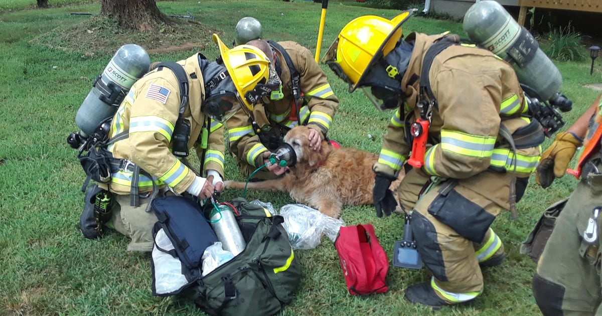 Firefighters rescue dog trapped in burning Lilburn home | FOX 5 Atlanta