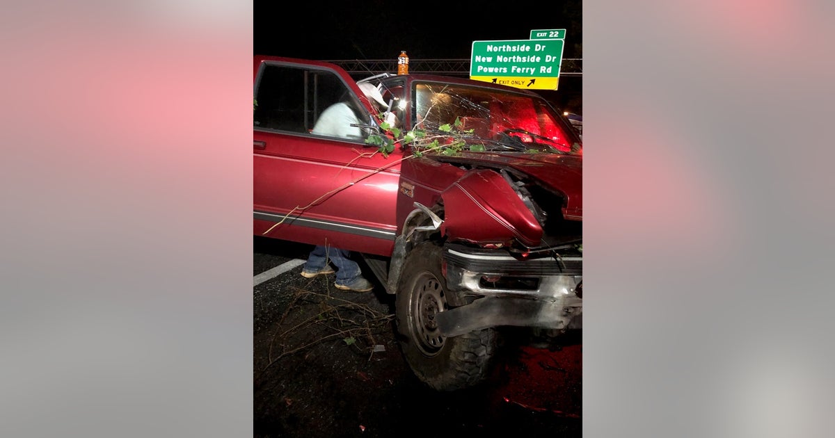 Falling tree smashes into truck on I-285 | FOX 5 Atlanta