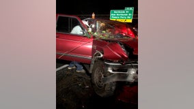 Falling tree smashes into truck on I-285