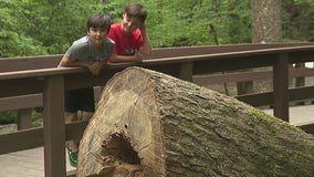 Georgia brothers raise money to bring 'dinosaur' to life in their neighborhood