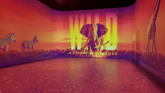 Illuminarium Atlanta officially opens to the public