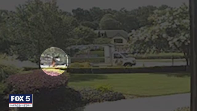 'The guy is very fast': Thief caught on camera stealing expensive lawn equipment