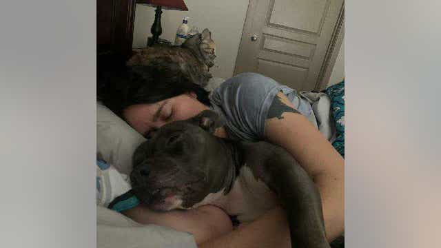 Autopsy on dog belonging to Piedmont Park murder victim