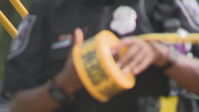 Georgia prosecutors form new group to combat crime