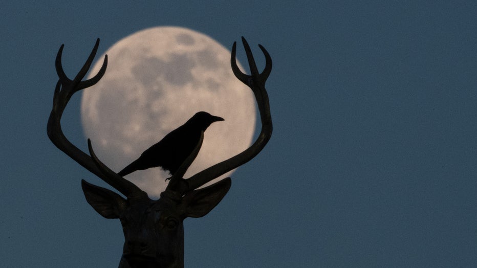 Moon over Stuttgart