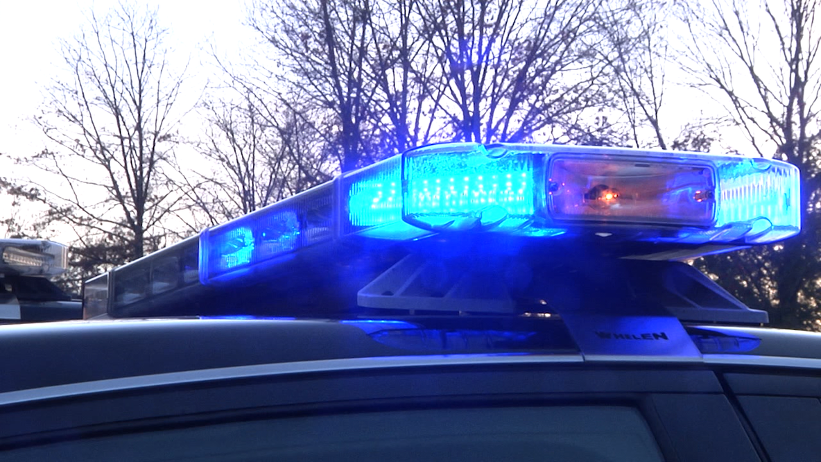 50 dogs rescued in Lamar County animal cruelty raid, 1 arrested