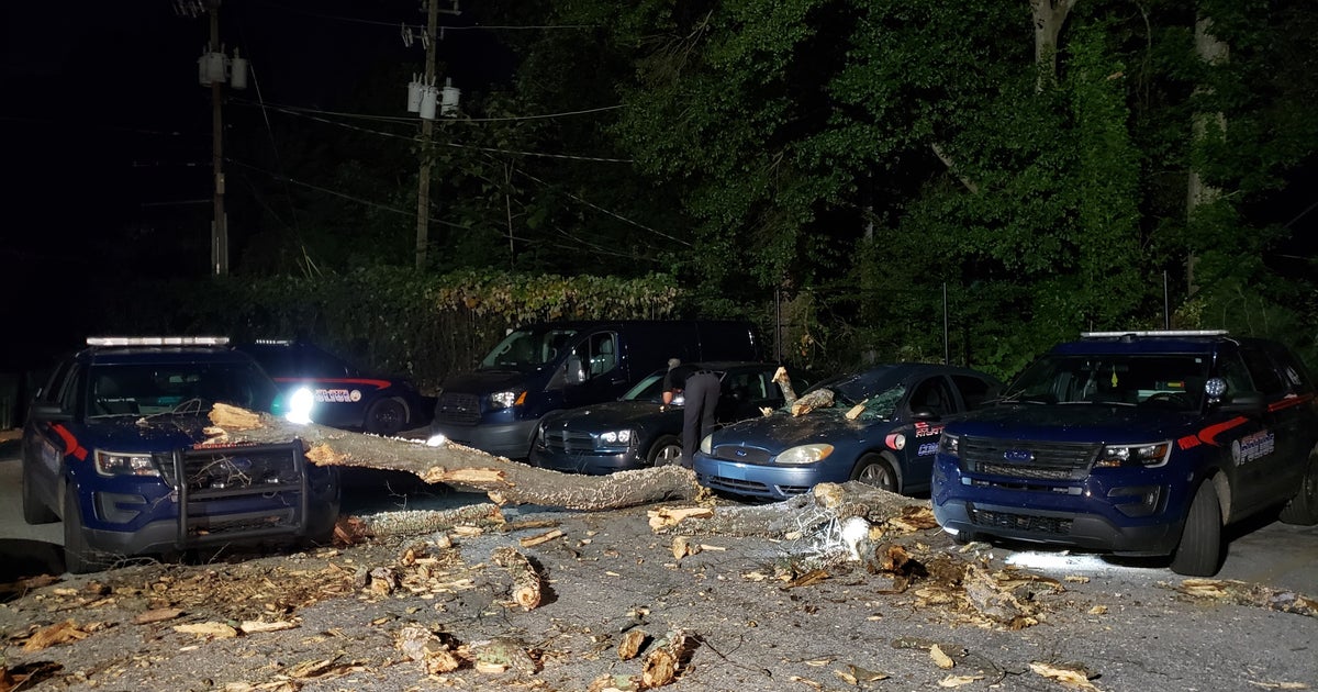 Fallen tree smashes multiple Atlanta police cars | FOX 5 Atlanta