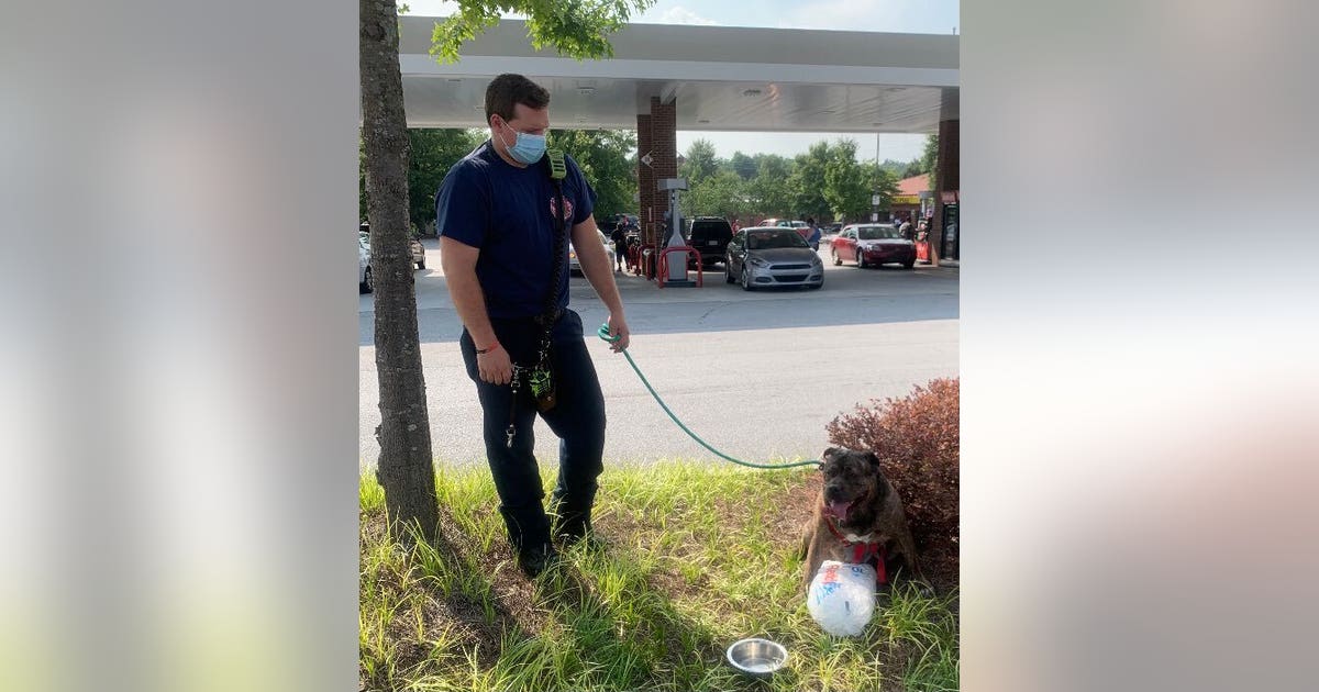 DeKalb County firefighters rescue dog trapped in hot car | FOX 5 Atlanta
