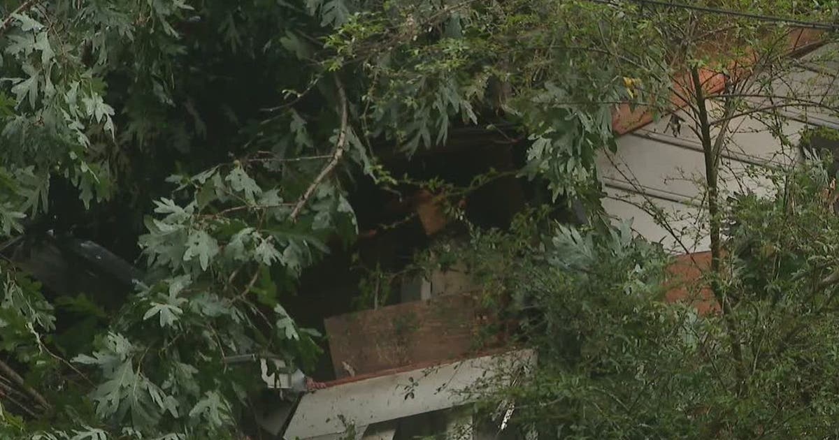 Tree falls on Smyrna home during passing thunderstorm | FOX 5 Atlanta