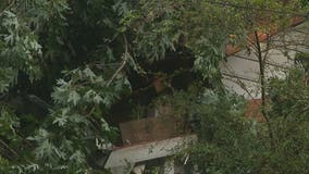Tree falls on Smyrna home during passing thunderstorm