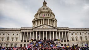 Infowars host Owen Shroyer charged in US Capitol riot