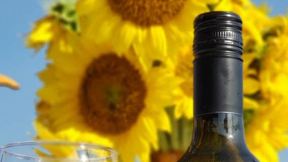 Summer vacation on the Georgia Wine Highway