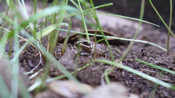 Aquanaut Adventure: A Discovery Zone renovation tour