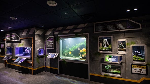 Georgia Aquarium: Check out the renovations of Aquanaut Adventure: A Discovery Zone