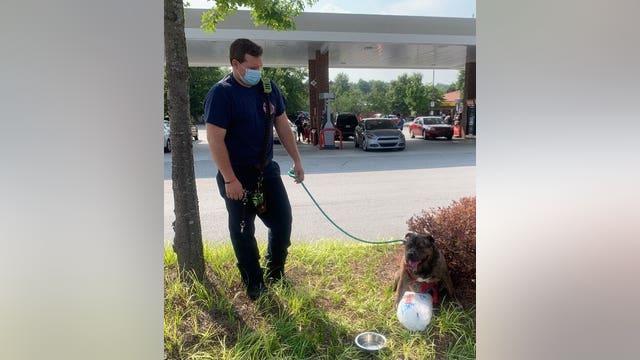 DeKalb County firefighters rescue dog trapped in hot car