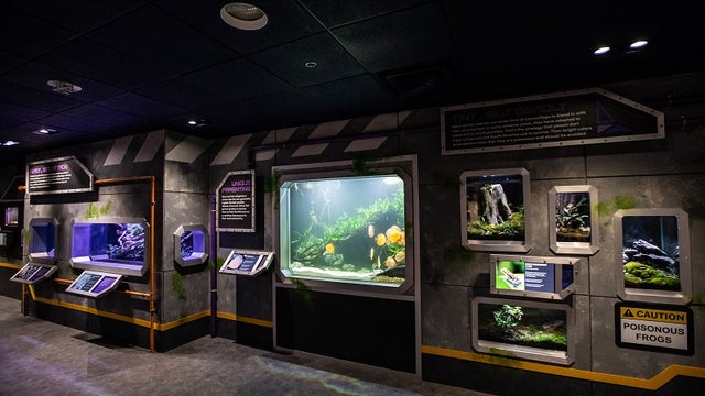 Georgia Aquarium: Check out the renovations of Aquanaut Adventure: A Discovery Zone