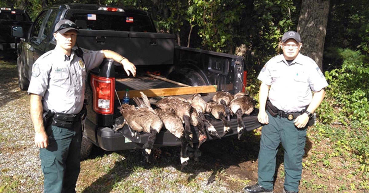 Men charged for killing eight geese out of season in Union County | FOX ...