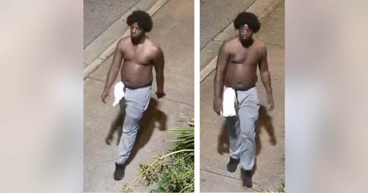 University of Georgia police search for sexual assault and robbery ...