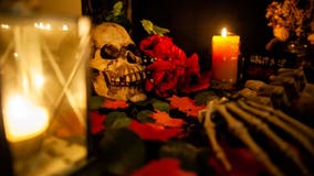 Halloween happenings in metro Atlanta, North Georgia | 2025