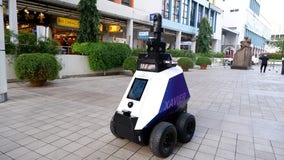 Singapore testing robots to patrol pedestrian areas for ‘undesirable social behaviors’