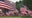 Field of Flags on display in Kennesaw for victims of 9/11 attacks