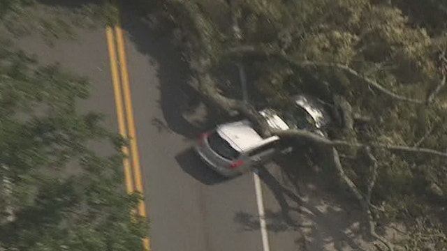 Fallen tree damages power line, car in Gwinnett County
