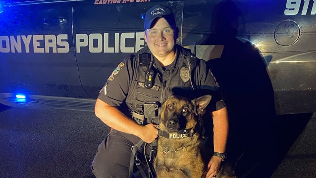 Conyers K-9 receives new body armor
