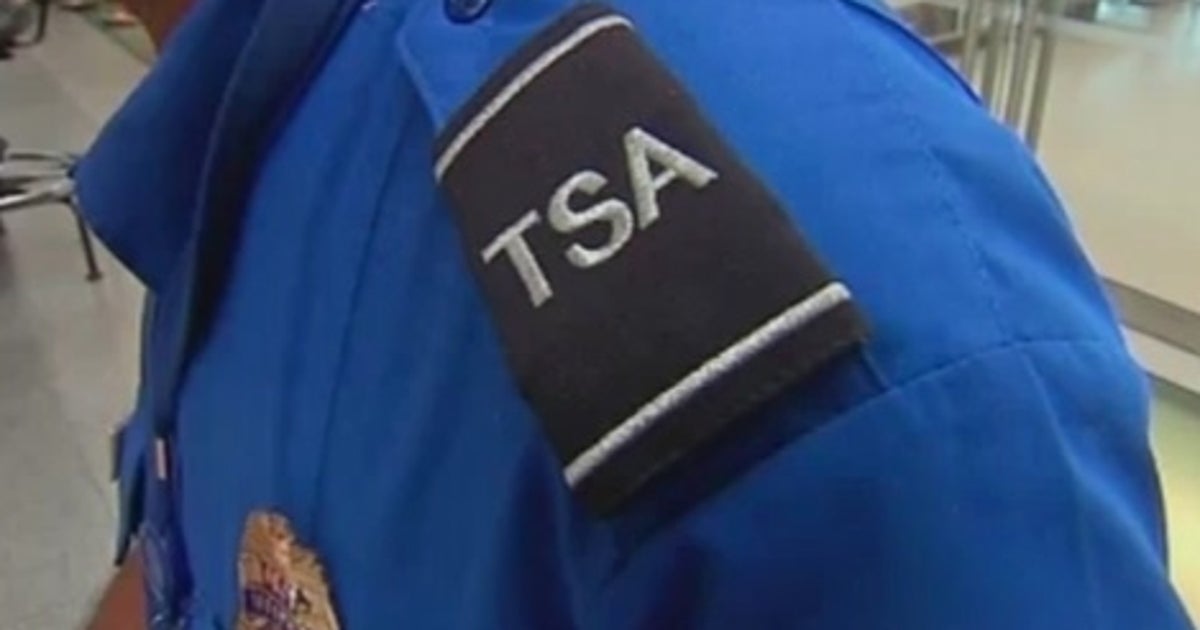 Atlanta airport security: Council approves private TSA study