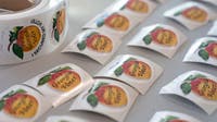 Georgia voters set to decide key runoff races Tuesday