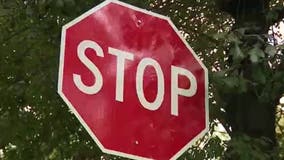 Boys ambush, distract, carjack motorist in Atlanta south side