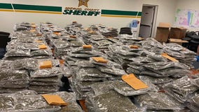 Florida sheriff looking for 'rightful owner' of approximately 770 pounds of pot