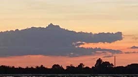 Florida woman spots alligator in clouds