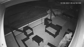 Deputies searching for suspect in Rabun County Golf Course burglary