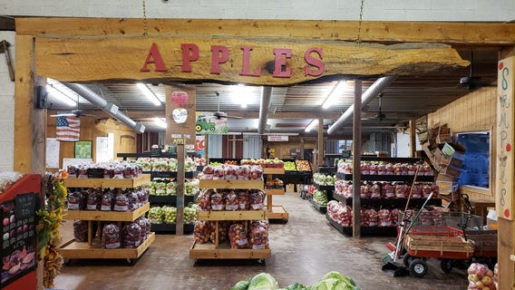 Georgia Apple Festival celebrates 50 delicious years