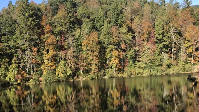 Leaf Watch 2021 - Week Two: Drop in temps signals big changes soon