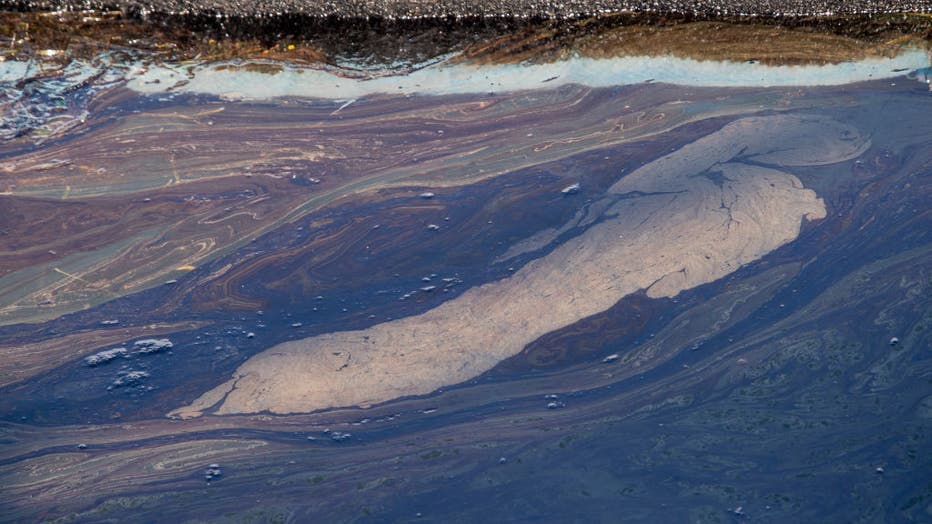 01da7ebb-Major oil spill in Huntington Beach