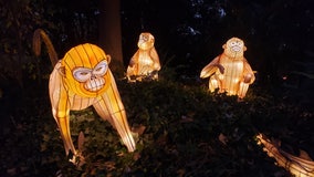 Massive Chinese lanterns light up Zoo Atlanta