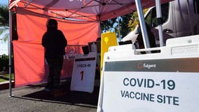 White House hits pandemic 'reset' button with new COVID-19 plan