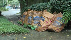 City of Atlanta hires temporary workers to help with yard debris clean-up