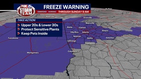 Freeze Warning: Protect pets, plants as Georgia braces for coldest night of the season so far