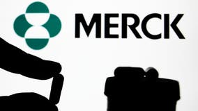 FDA finds Merck COVID-19 pill effective, seeks outside experts on safety