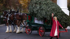 Bidens get into holiday spirit with Christmas tree, early Thanksgiving at Fort Bragg