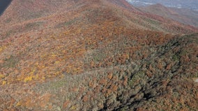 Leaf Watch 2021 - Week Five: Fall colors take over north Georgia