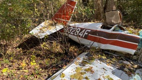 Pilot dies in single-engine plane crash in Paulding County