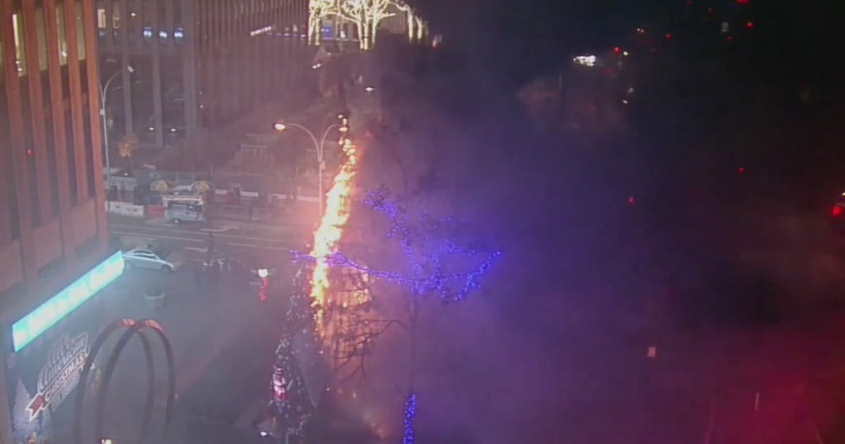 Christmas tree set on fire outside Fox News Channel | FOX 5 Atlanta